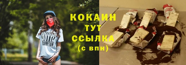 ПСИЛОЦИБИНОВЫЕ ГРИБЫ Вяземский