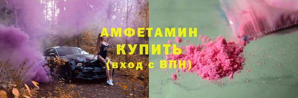 ПСИЛОЦИБИНОВЫЕ ГРИБЫ Вяземский