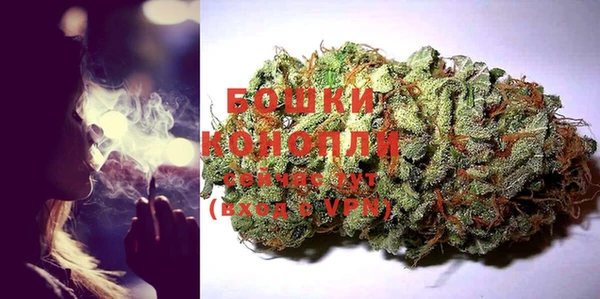 ПСИЛОЦИБИНОВЫЕ ГРИБЫ Вяземский