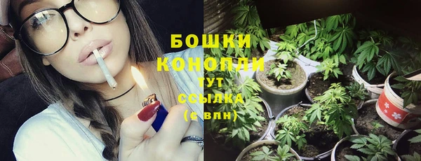 ПСИЛОЦИБИНОВЫЕ ГРИБЫ Вяземский