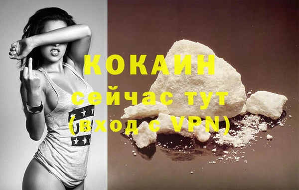 ПСИЛОЦИБИНОВЫЕ ГРИБЫ Вяземский