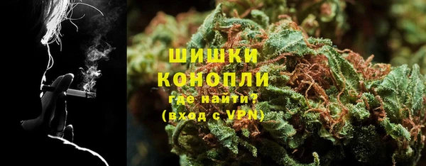 ПСИЛОЦИБИНОВЫЕ ГРИБЫ Вяземский