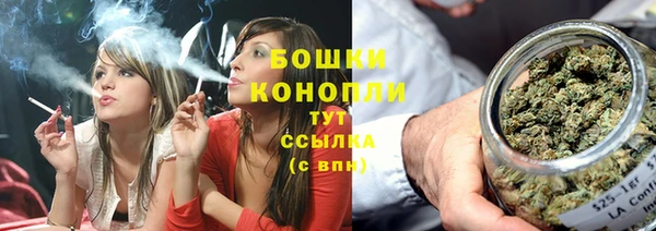 ПСИЛОЦИБИНОВЫЕ ГРИБЫ Вяземский