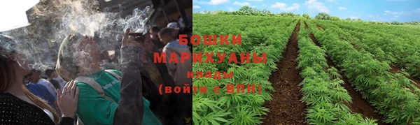 ПСИЛОЦИБИНОВЫЕ ГРИБЫ Вяземский