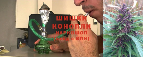 ПСИЛОЦИБИНОВЫЕ ГРИБЫ Вяземский