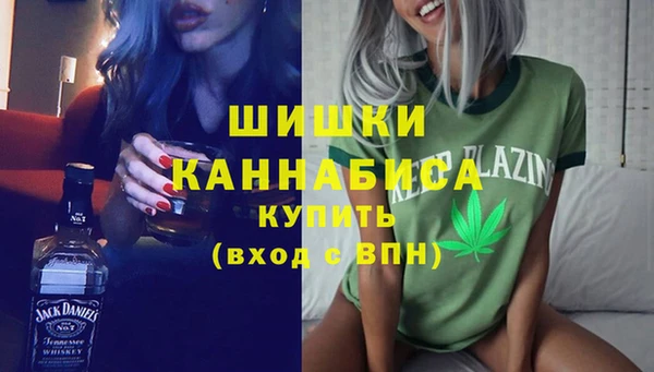 ПСИЛОЦИБИНОВЫЕ ГРИБЫ Вяземский