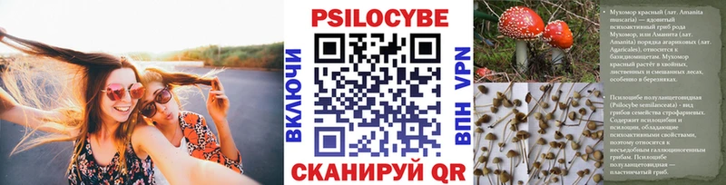 Купить закладки Ардатов Псилоцибиновые грибы Psilocybe